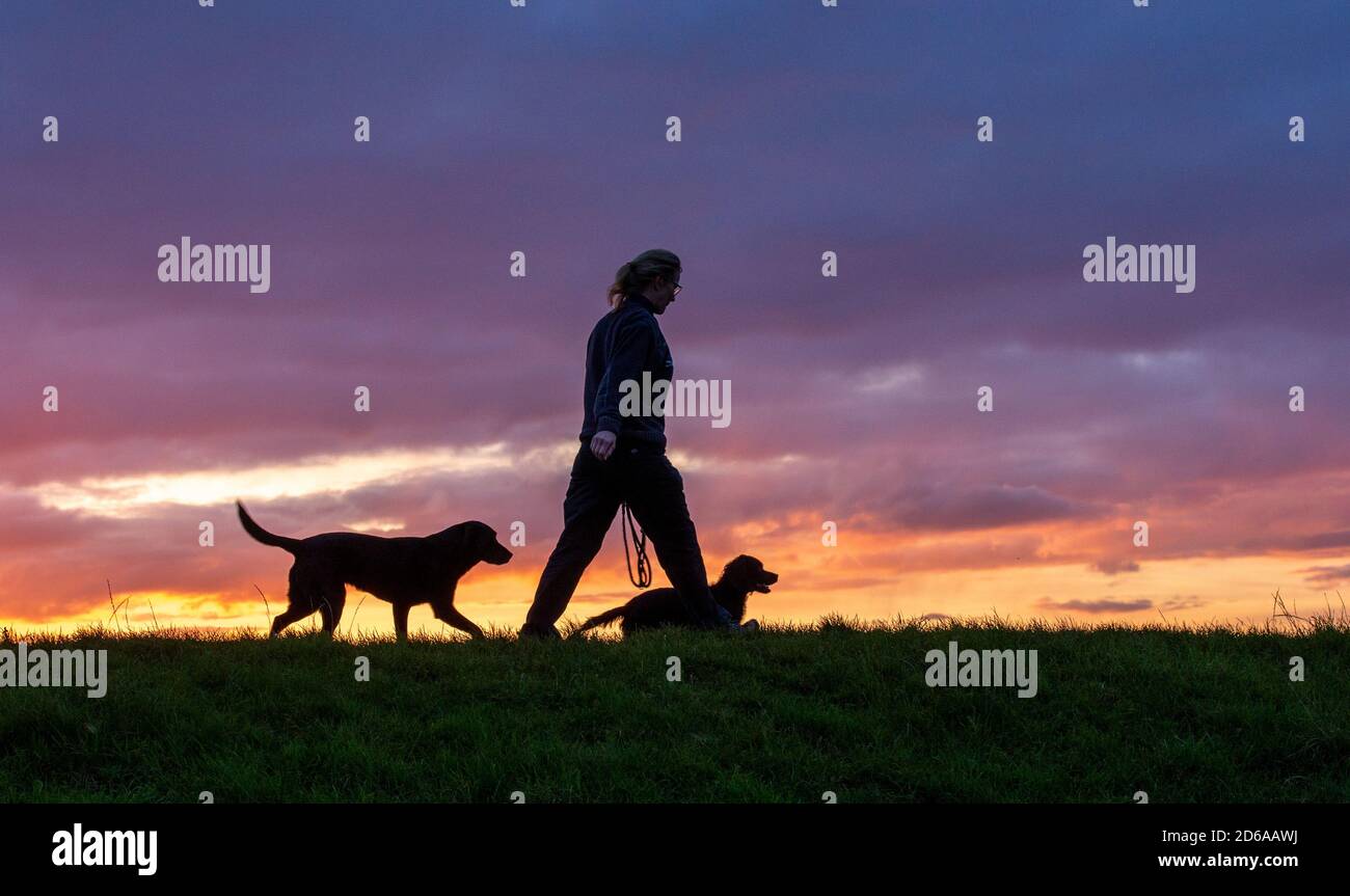 Milnthorpe, Cumbria, UK. 15th Oct, 2020. Dog walking in a spectacular sunset at Milnthorpe, Cumbria. Credit: John Eveson/Alamy Live News Stock Photo