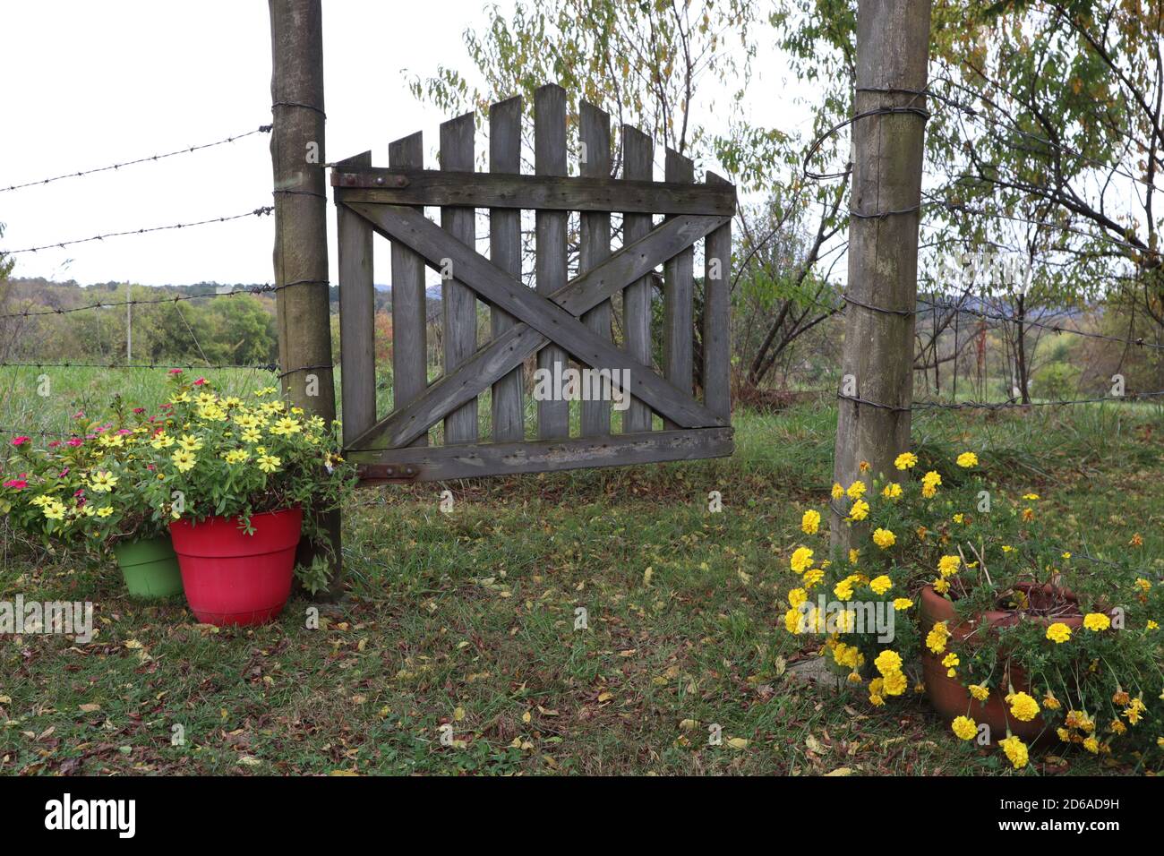 Fence Post Flowers High Resolution Stock Photography and Images - Alamy