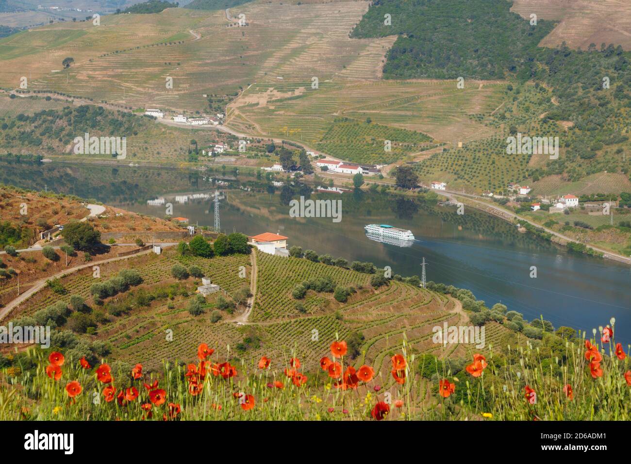Portugal.  Vineyards along Douro river between Paso da Regua and Pinhao on the Viseu District or southern bank of the river.  Excursion boat on the ri Stock Photo