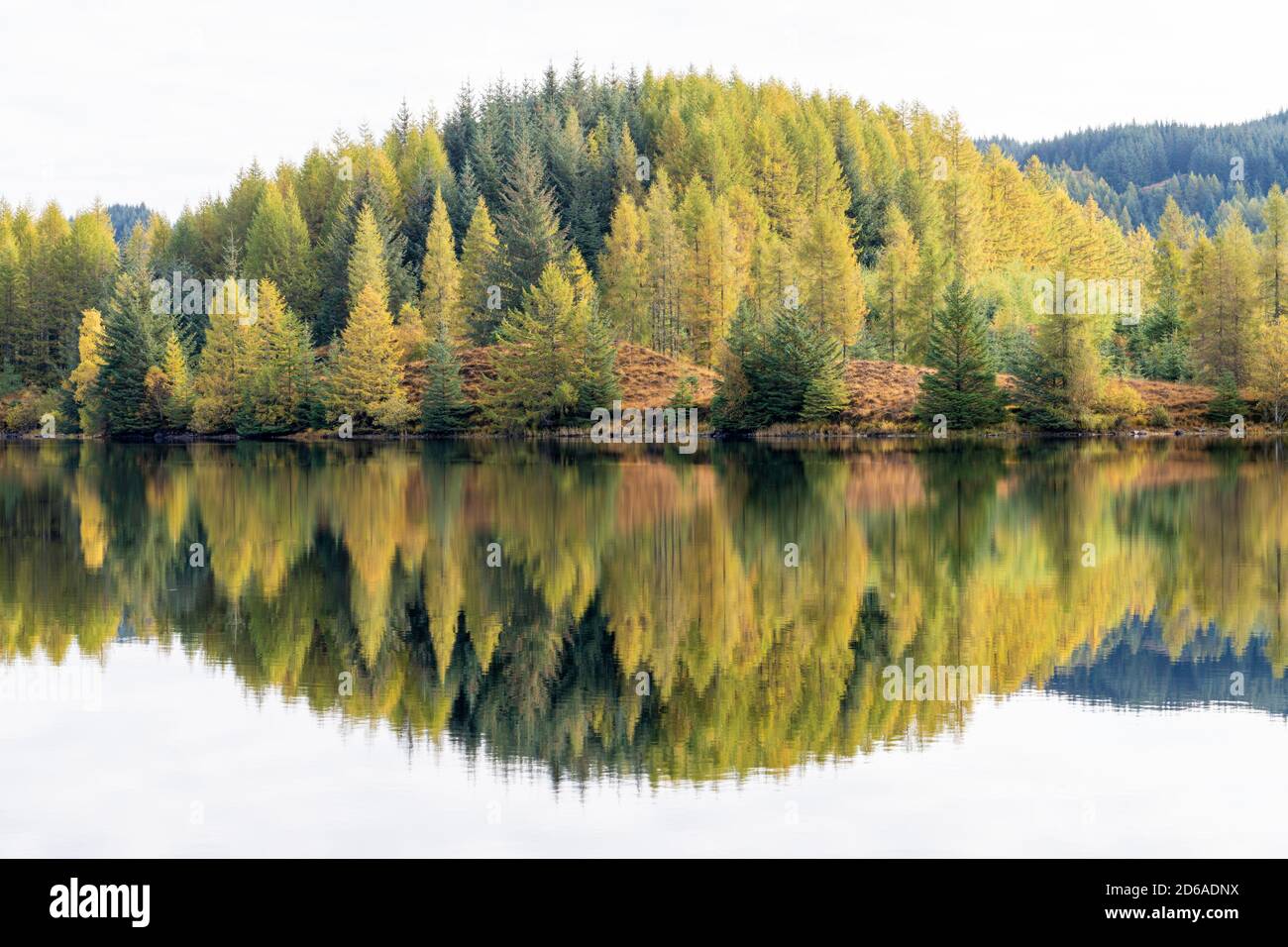 Loch Drunkie, The Trossachs, Scotland Stock Photo