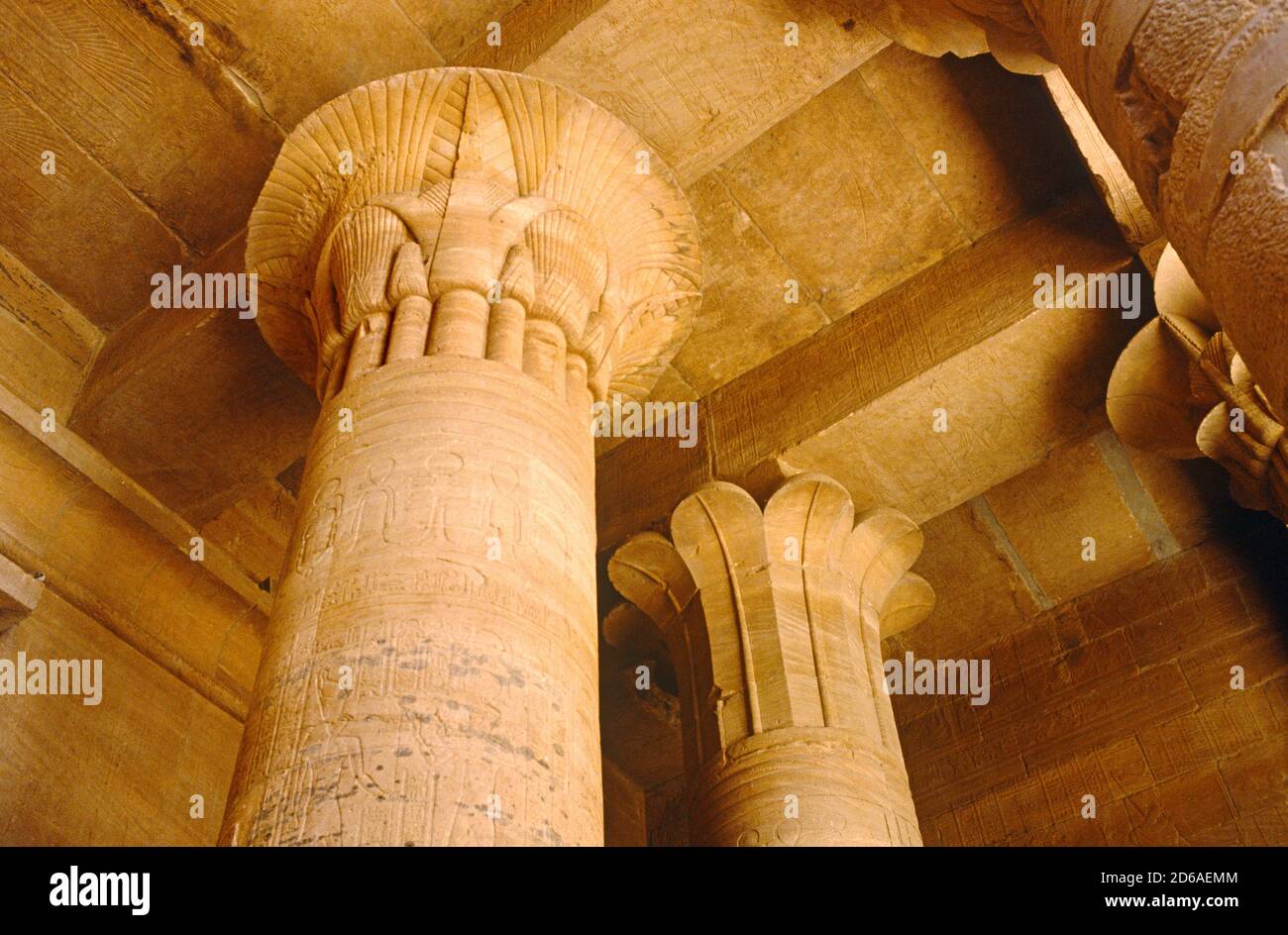 Fluted Columns in Temple of Edfu, Egypt Stock Photo Alamy