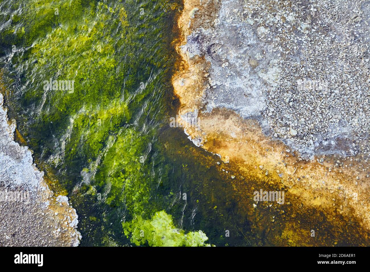 Close up picture of a hot spring edge in Yellowstone National Park ...