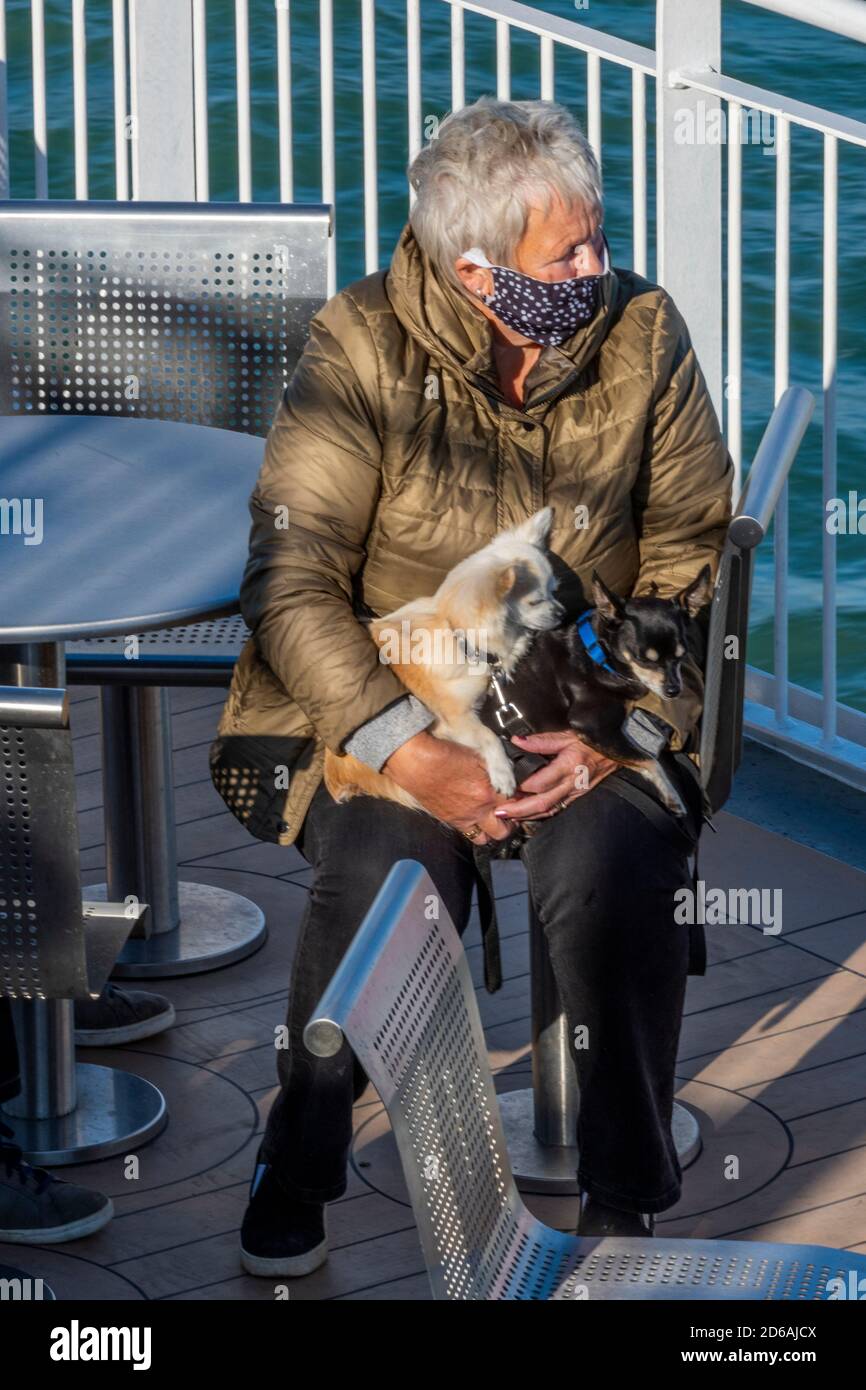 an older lady wearing a covid facemask sitting out of doors with two small dogs on her lap. Stock Photo