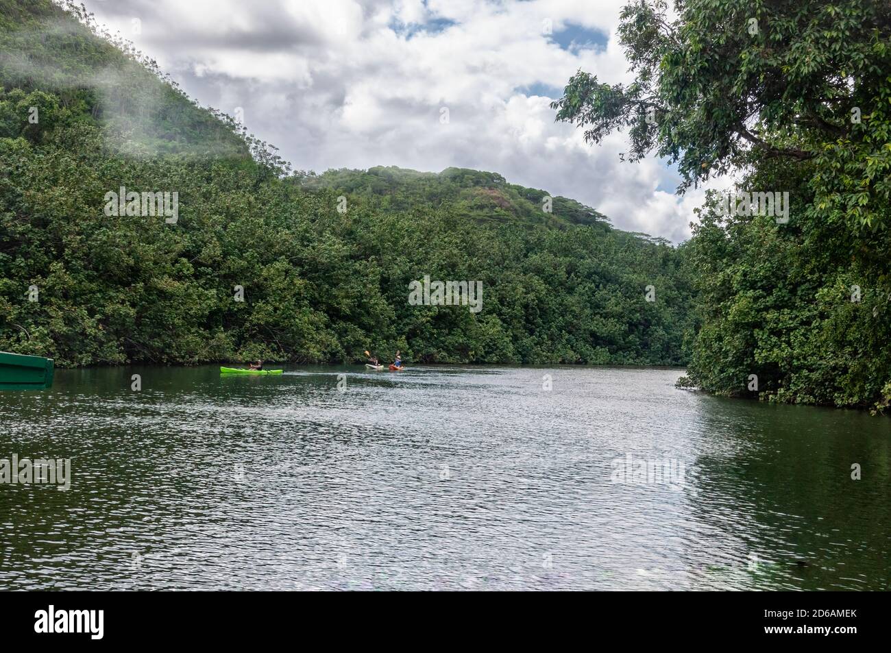 Canoes paddling along a river surrounded by lush green vegetation in