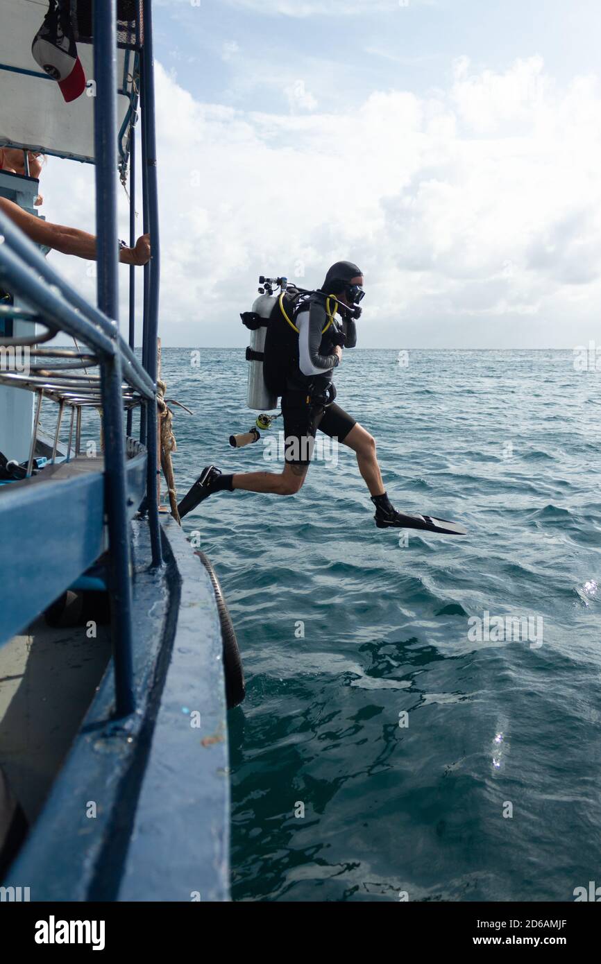 Vertical shot of a scuba diver jumping into the water Stock Photo Alamy