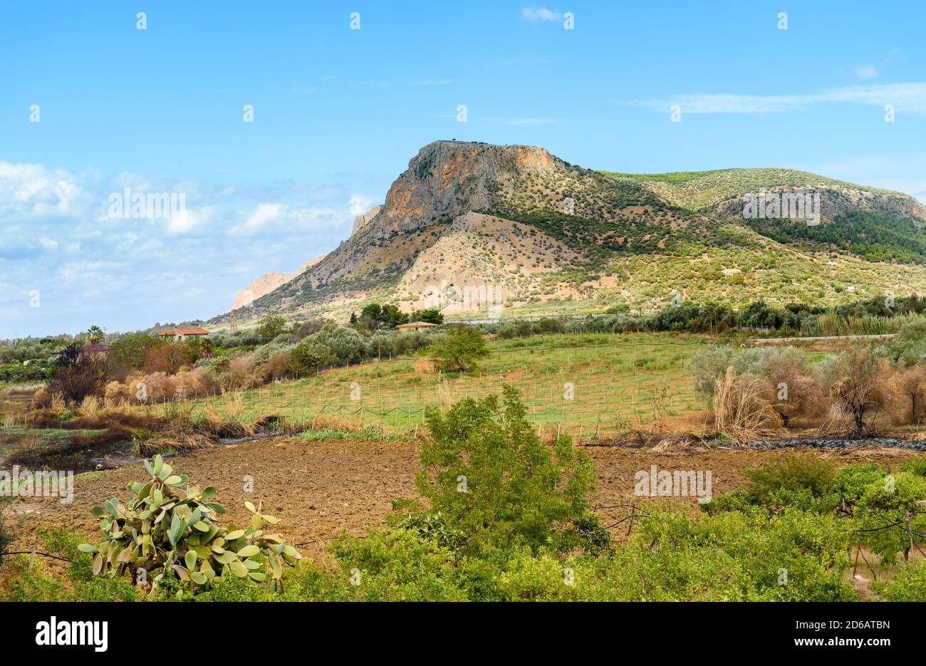 Sicily countryside landscape with field of vineyard and mount, Partinico, province of Palermo, Sicily, Italy Stock Photo