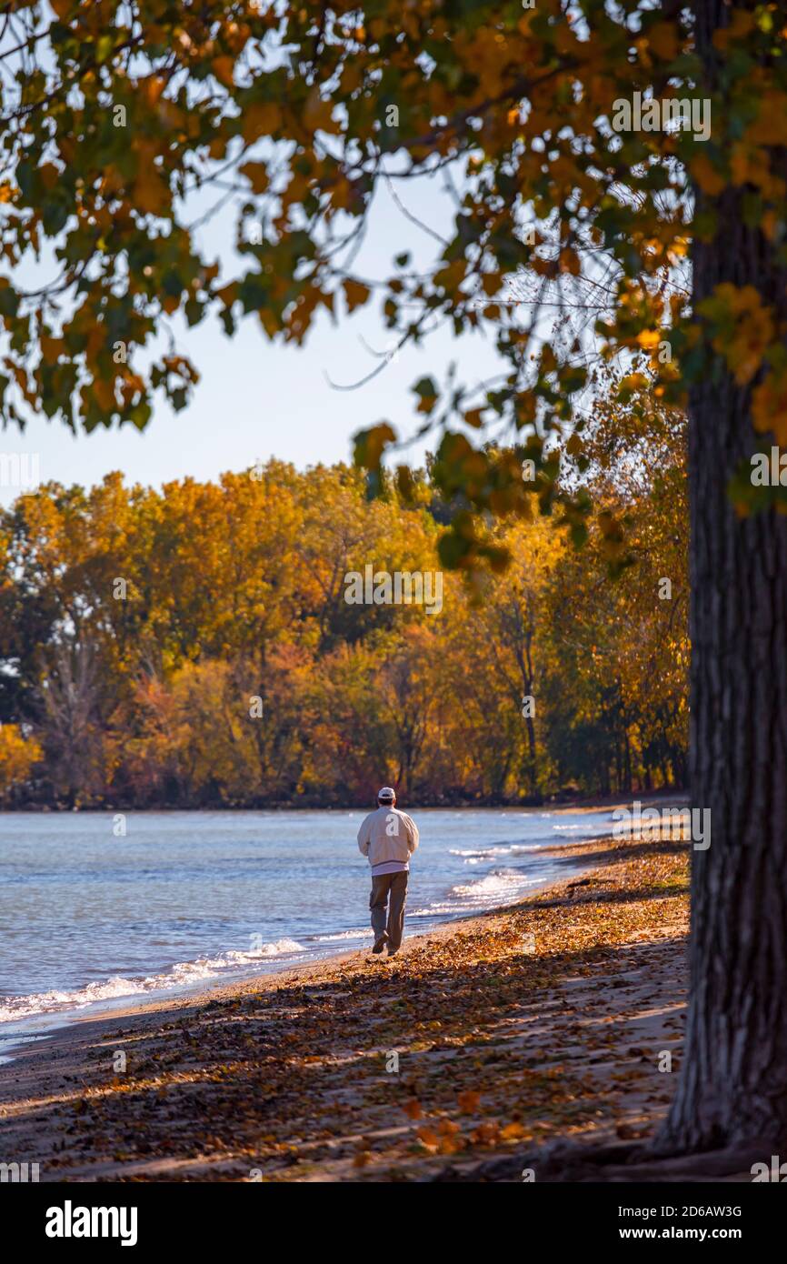Monroe, Michigan - A man walks on a deserted Lake Erie beach at Sterling State Park. Stock Photo