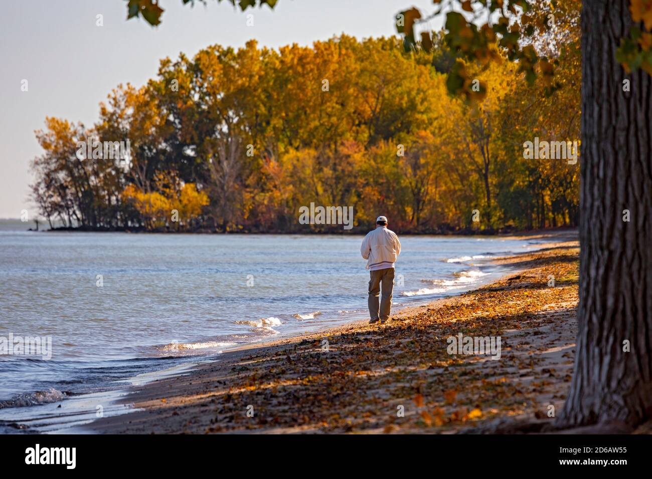 Monroe, Michigan - A man walks on a deserted Lake Erie beach at Sterling State Park. Stock Photo