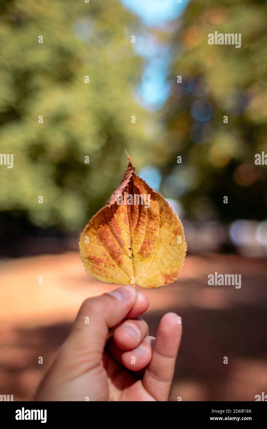 Orange and red colours hi-res stock photography and images - Alamy