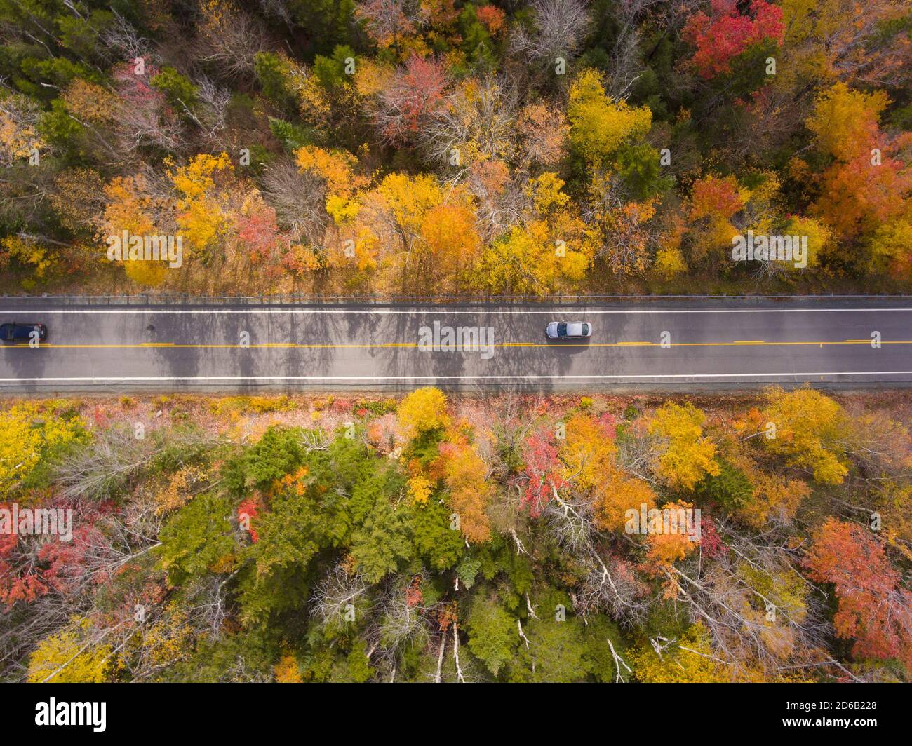 White Mountain National Forest fall foliage on Kancamagus Highway top view near Sugar Hill Scenic Vista, Town of Lincoln, New Hampshire NH, USA. Stock Photo
