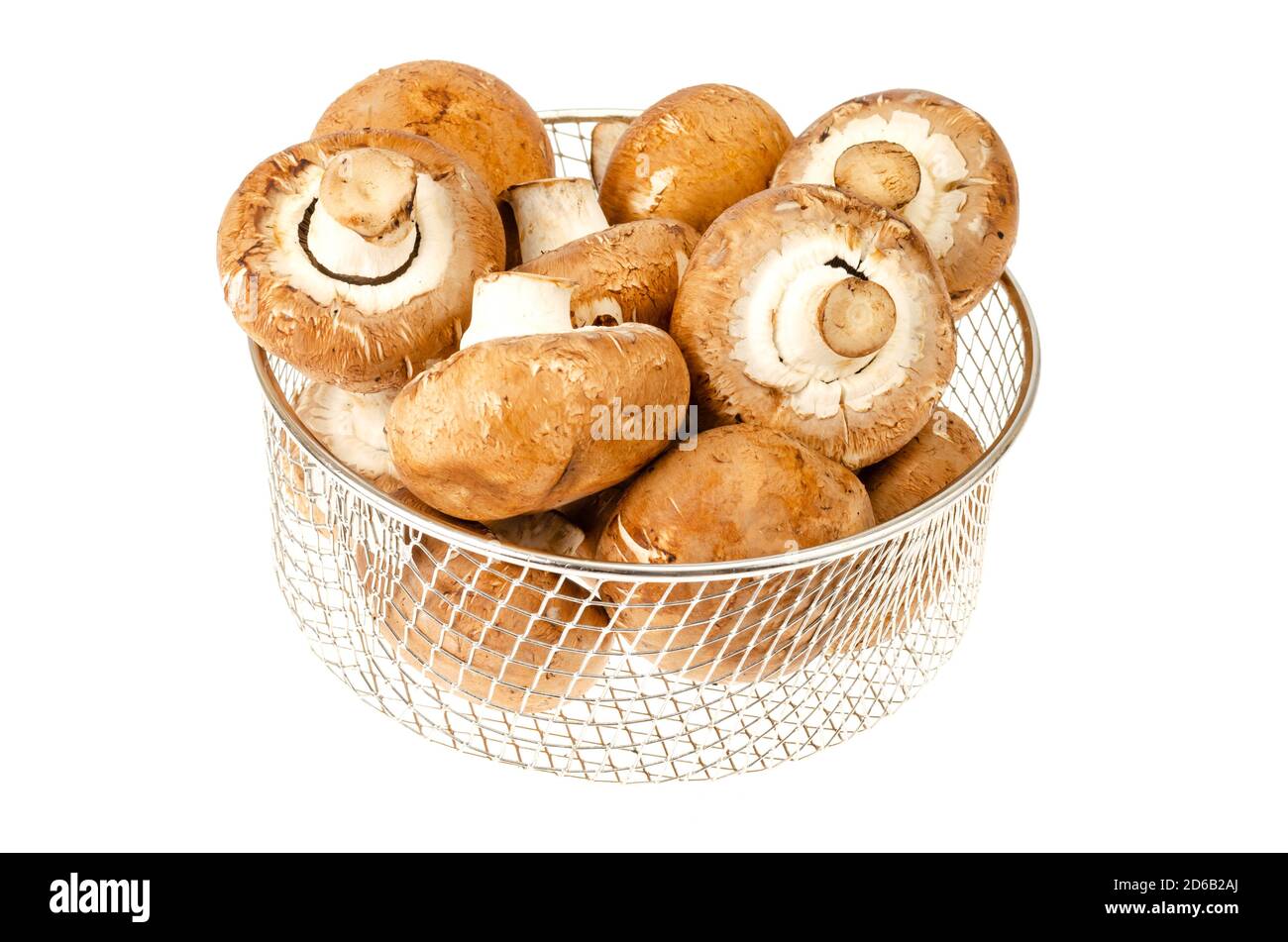 Brown royal champignons on white background. Photo Stock Photo