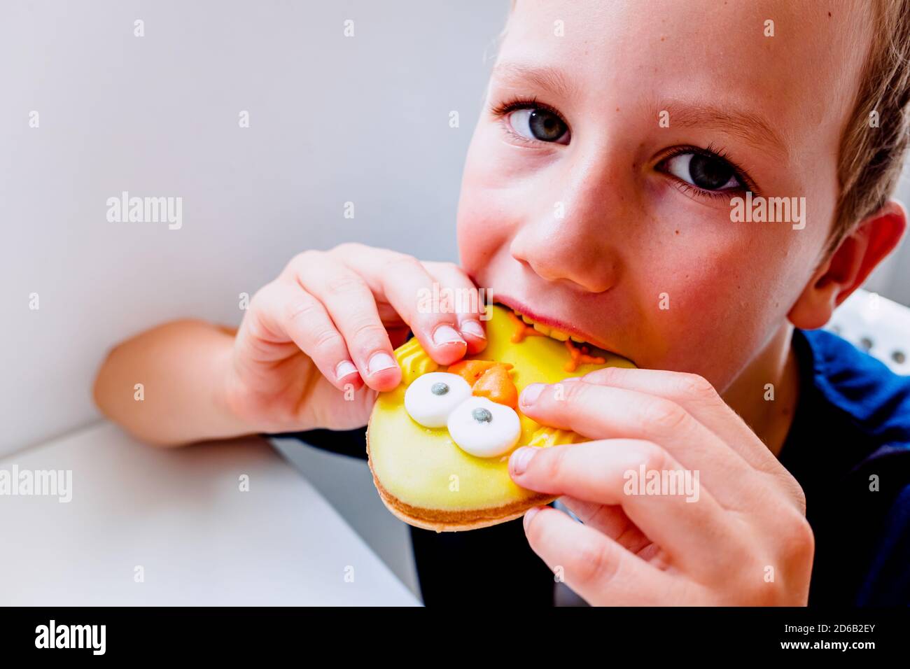 Boy nibbles on a funny animal shaped cookie Stock Photo Alamy