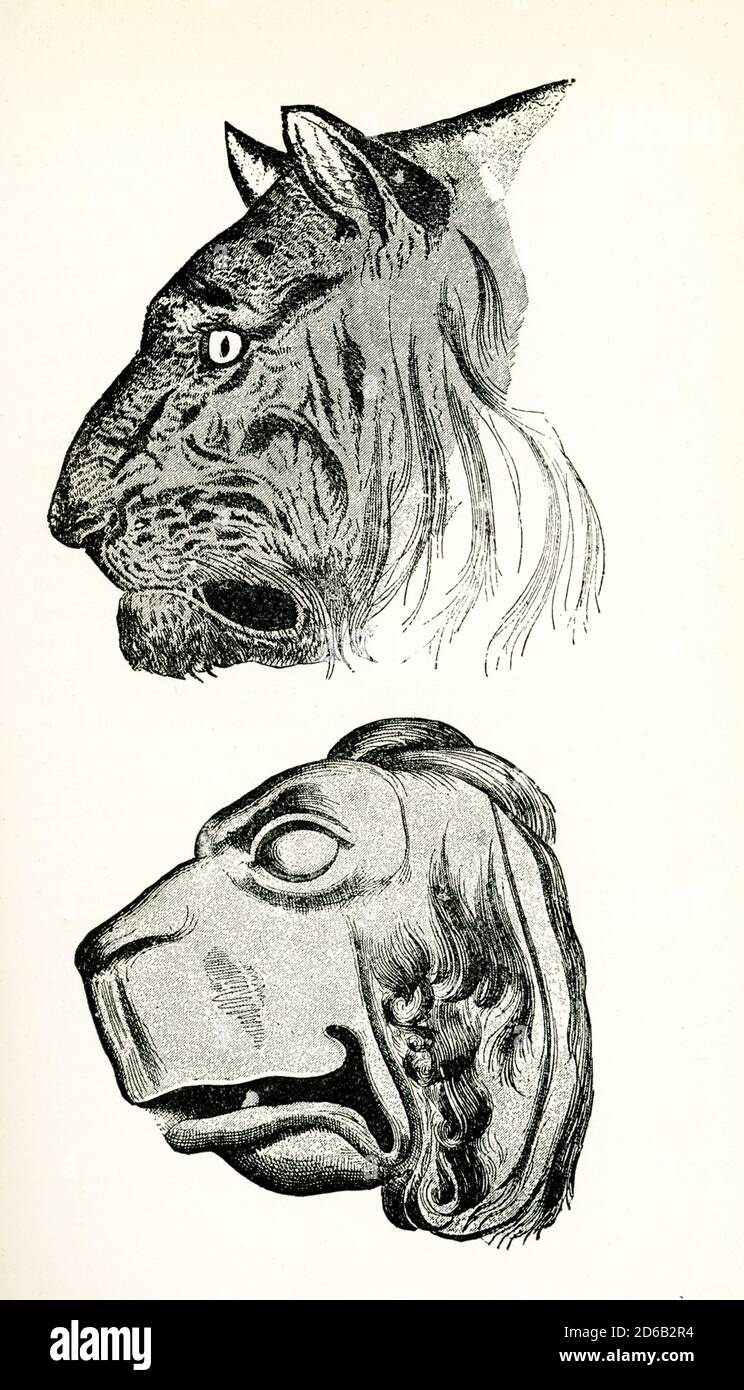This illustration of these tiger’s heads is from John Ruskin’s essay “The Seven Lamps of Architecture,” published in 1849. The caption in Ruskin’s book reads: Tiger's Head and improvement of same on Greek principles- Ruskin wrote first drawn from life, 2nd based on Greek ideal beast. John Ruskin was the leading English art critic of the Victorian era, as well as an art patron, draughtsman, watercolorist, philosopher, prominent social thinker and philanthropist. He wrote on subjects as varied as geology, architecture, myth, ornithology, literature, education, botany and political economy. The ' Stock Photo