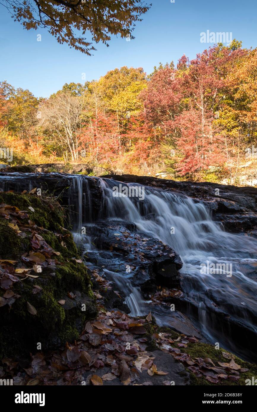 Peak fall foliage surrounds beautiful cascading Shohola Falls on an Autumn morning in the