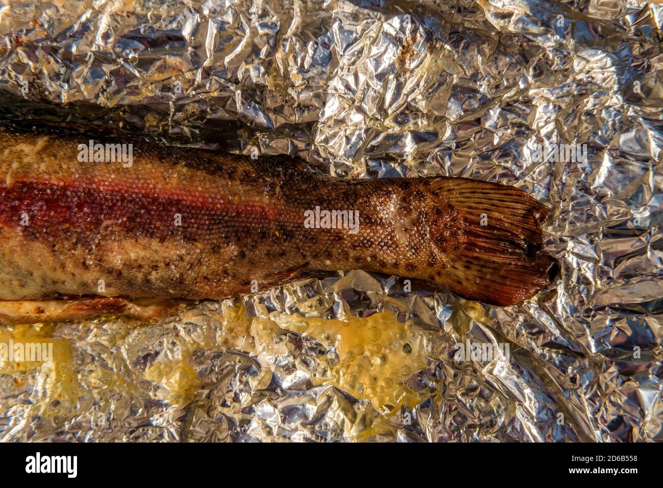 Skinon grilled trout in aluminum foil after being cooked at an outdoor barbecue Stock Photo Alamy