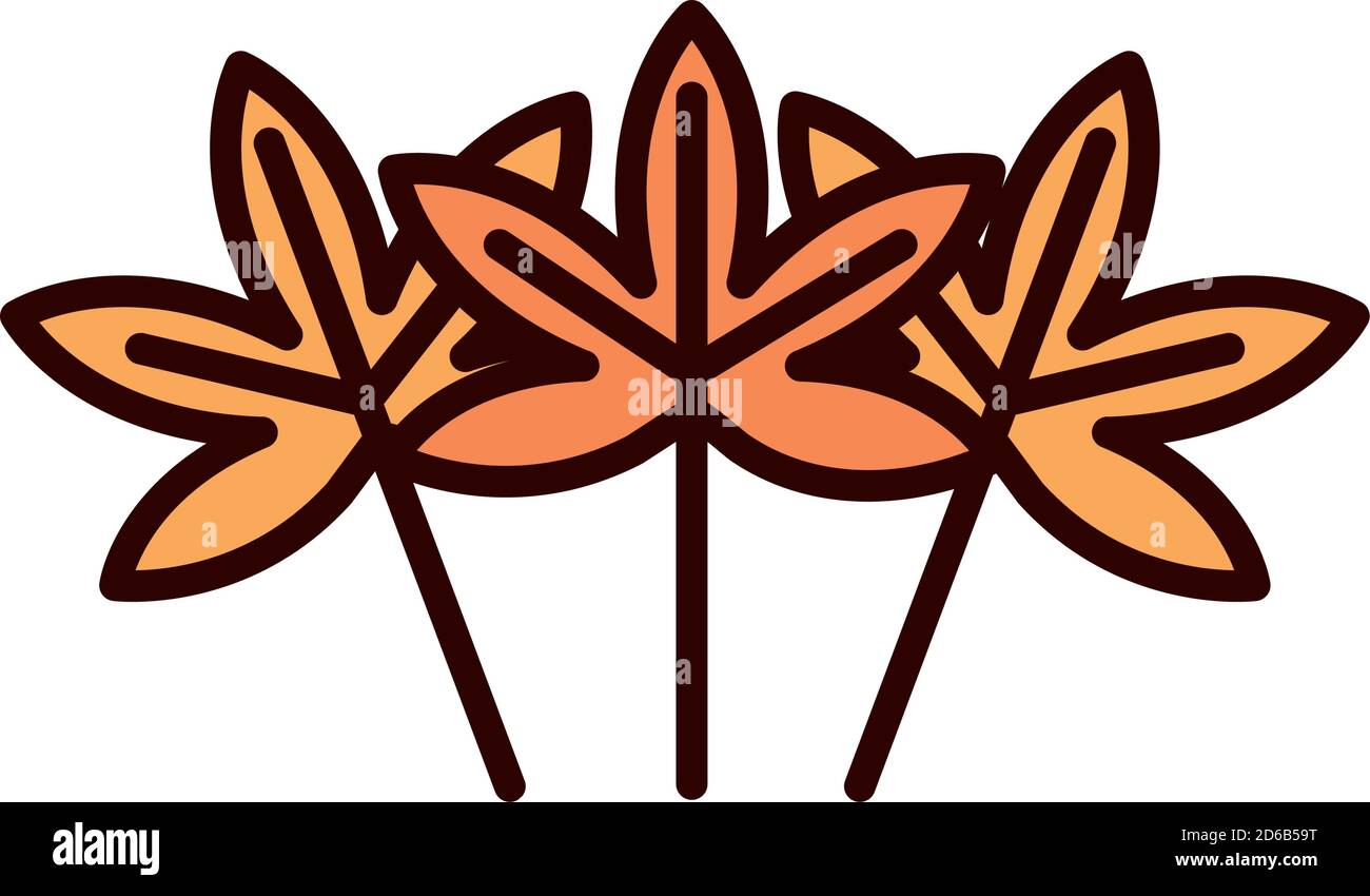 maple leaves foliage nature botanical vector illustration line fill ...