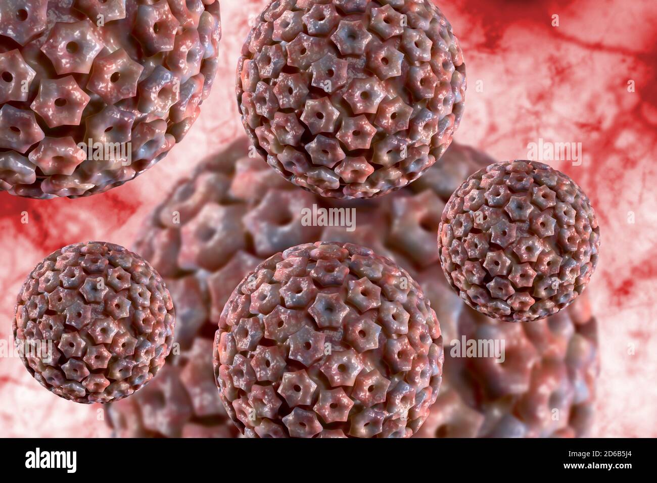 Infectious disease herpes simplex virus cells conceptual 3D illustration Stock Photo