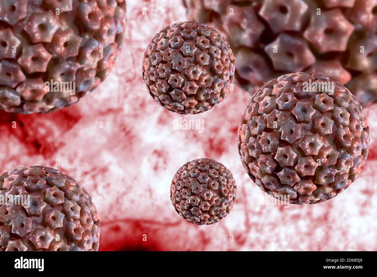 Infectious disease herpes simplex virus cells conceptual 3D illustration Stock Photo