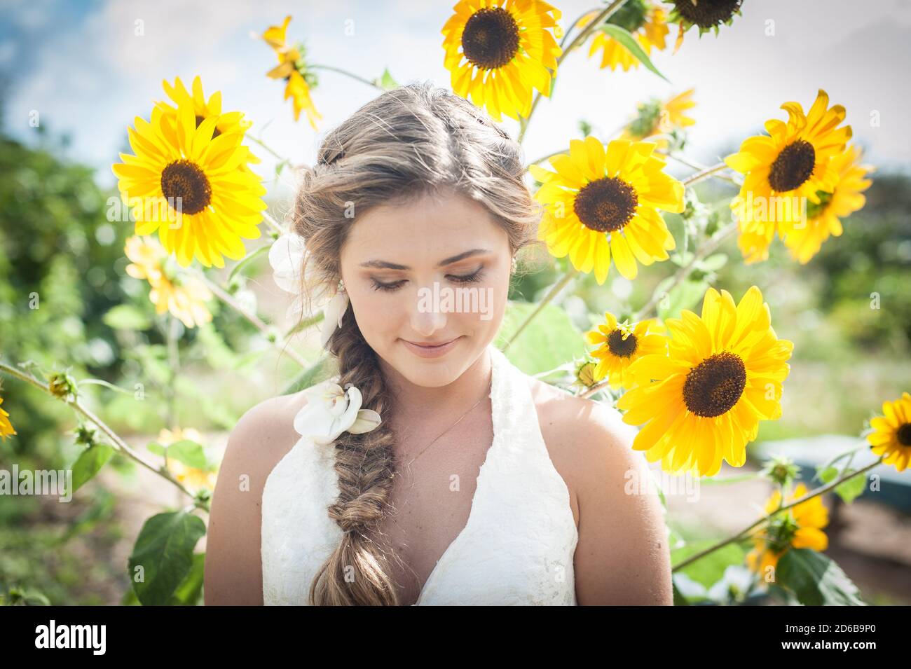 Girl in a field of sunflowers Stock Photo - Alamy
