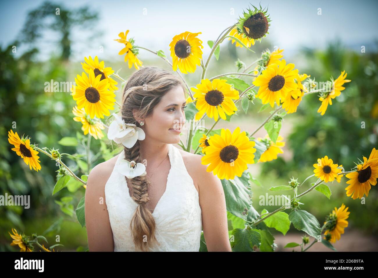 Girl in a field of sunflowers Stock Photo - Alamy