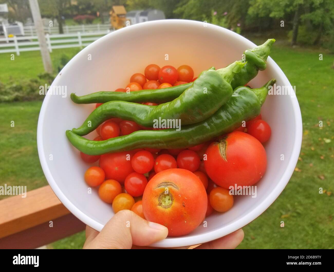 Jalapeno peppers, heirloom tomatoes and cherry tomatoes inside a white bowl Stock Photo