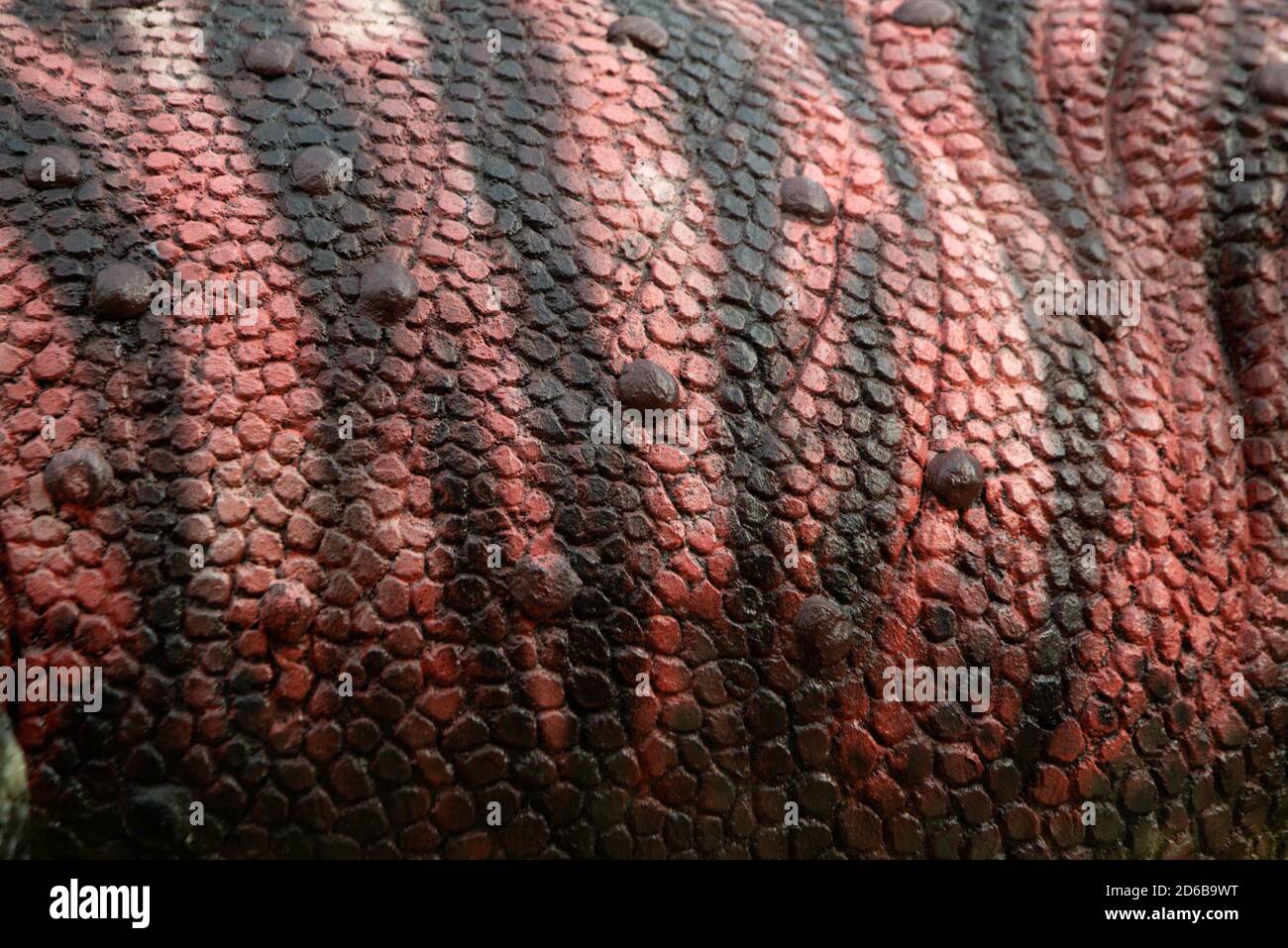 Skin Texture Dinosaur High Resolution Stock Photography and Images Alamy