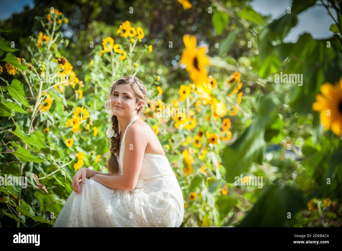 Girl in a field of sunflowers Stock Photo - Alamy