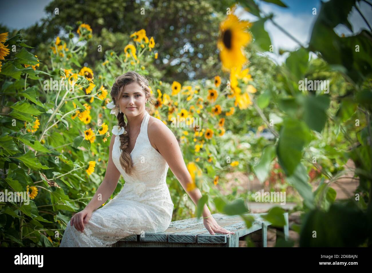 Girl in a field of sunflowers Stock Photo - Alamy