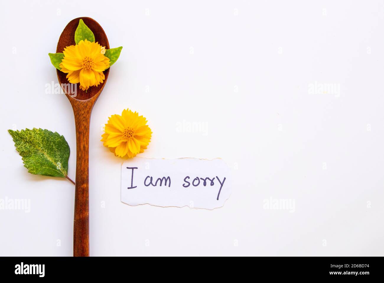 i am sorry message card handwriting with yellow flowers cosmos on