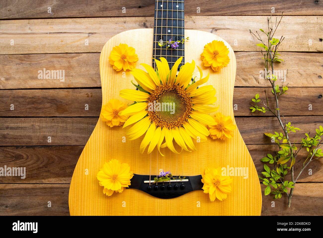 yellow flowers cosmos, sunflowers arrangement on acoustic guitar flat lay  postcard style on background wooden Stock Photo - Alamy