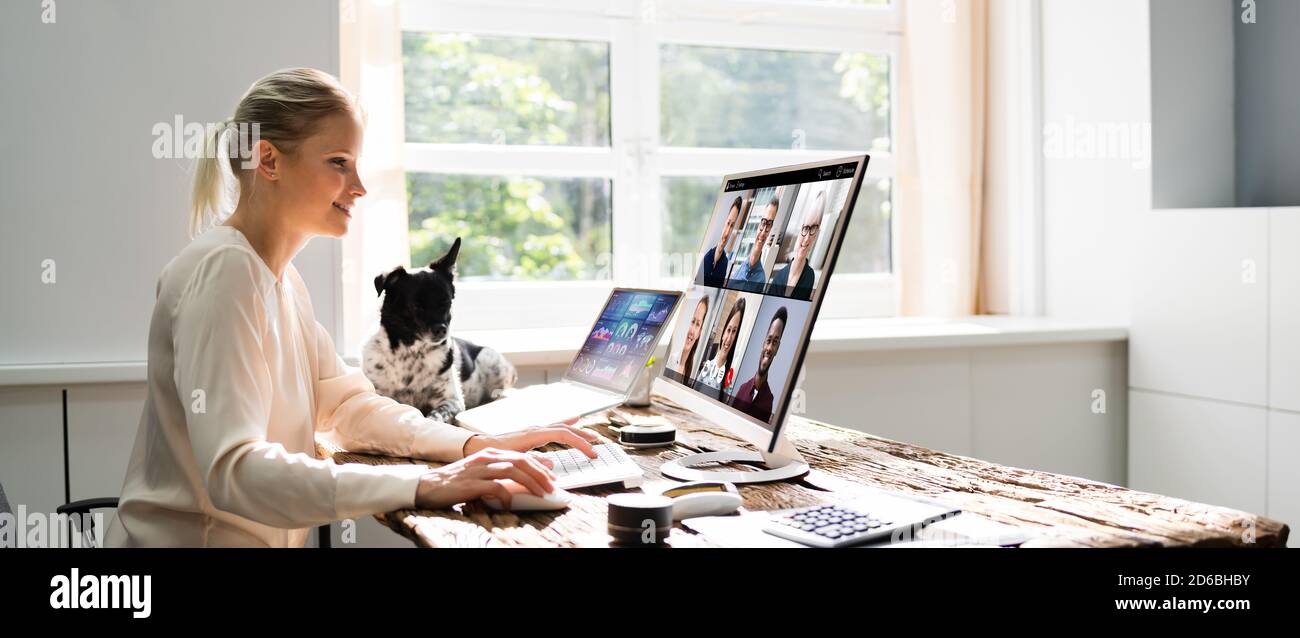 Online Learning Webinar Or Conference With Dog Stock Photo