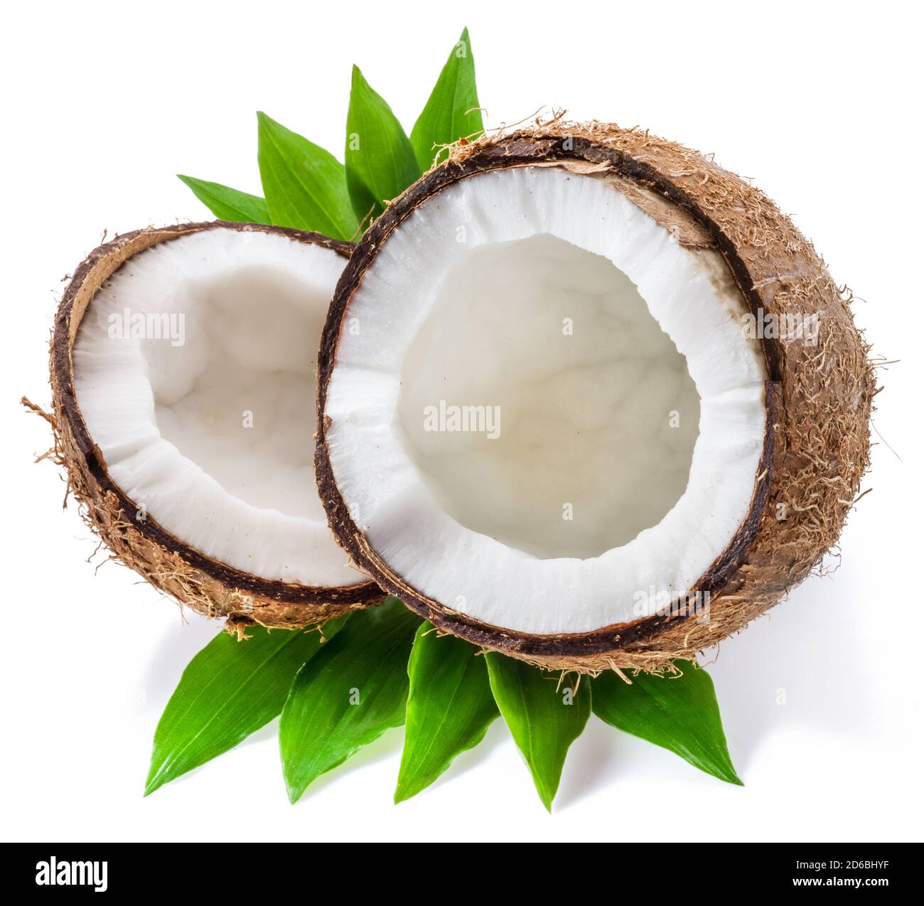 Split coconut fruit with white flesh over green leaves isolated on white background. Stock Photo