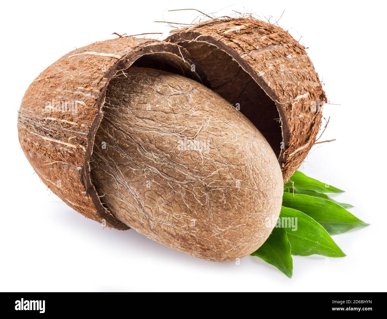 Split coconut fruit with whole inside seed over green leaves isolated on white background Stock
