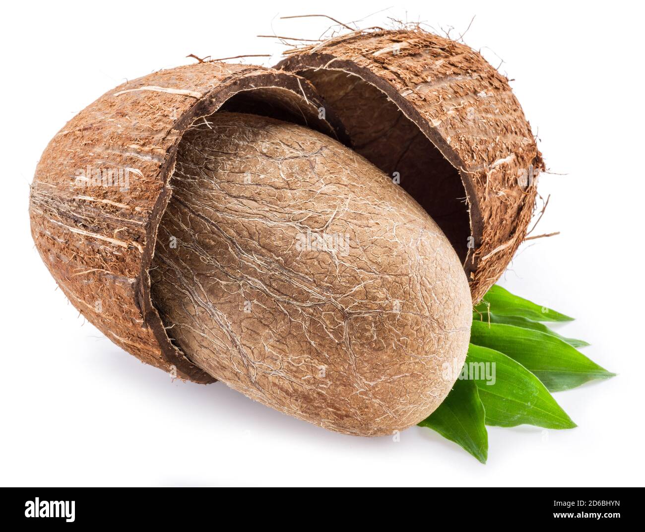 Split coconut fruit with whole inside seed over green leaves isolated on white background. Stock Photo