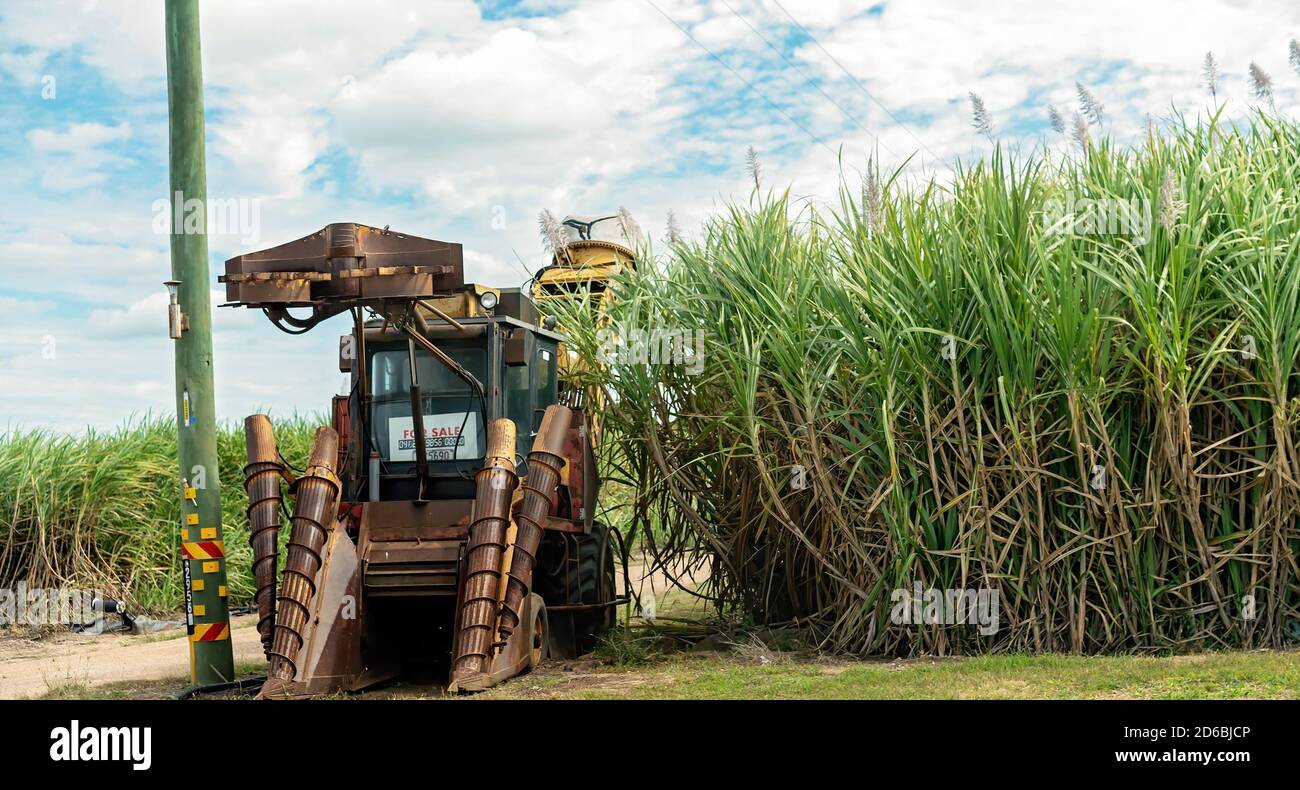 Townsville, Queensland, Australia June 2020 A sugar cane harvester