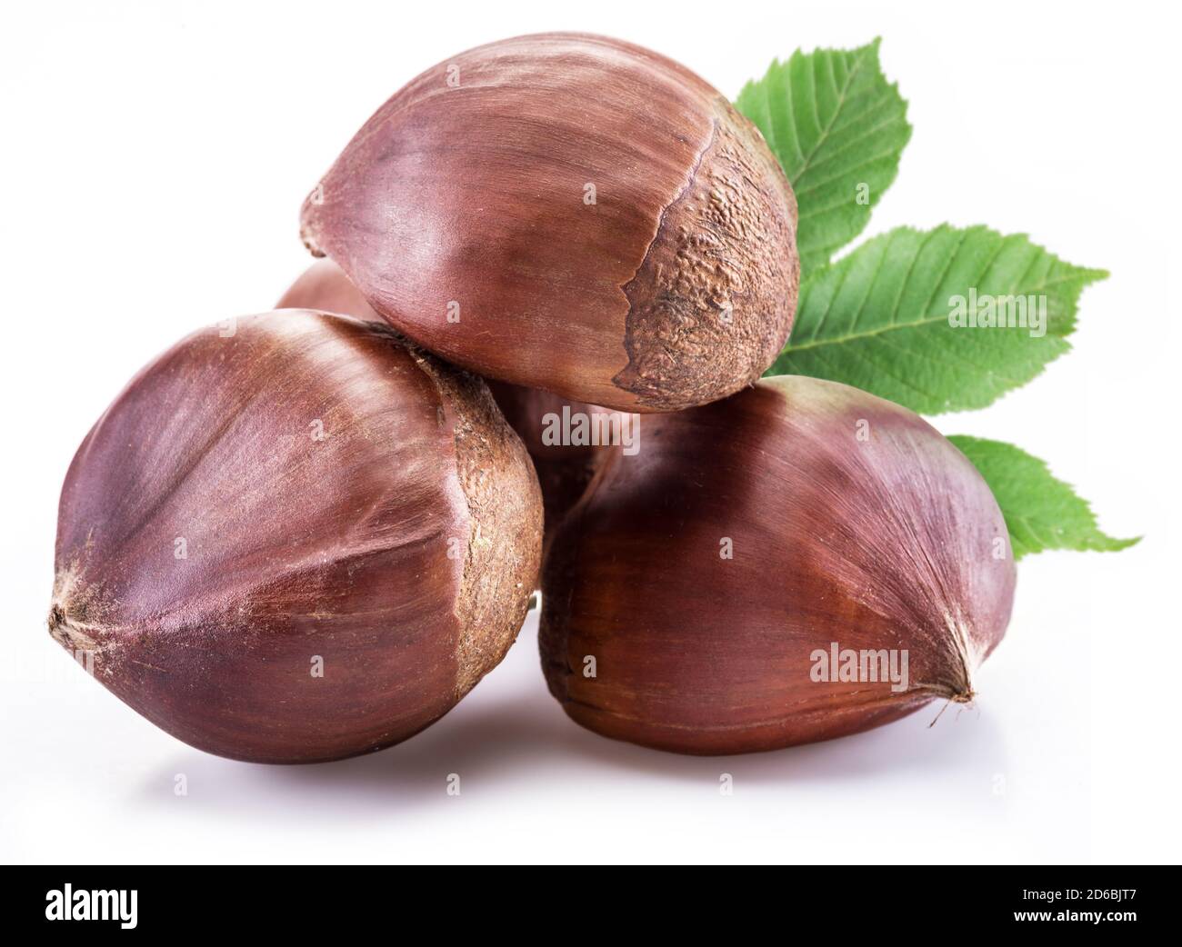 Raw peeled edible chestnut fruits isolated on white background Stock Photo Alamy