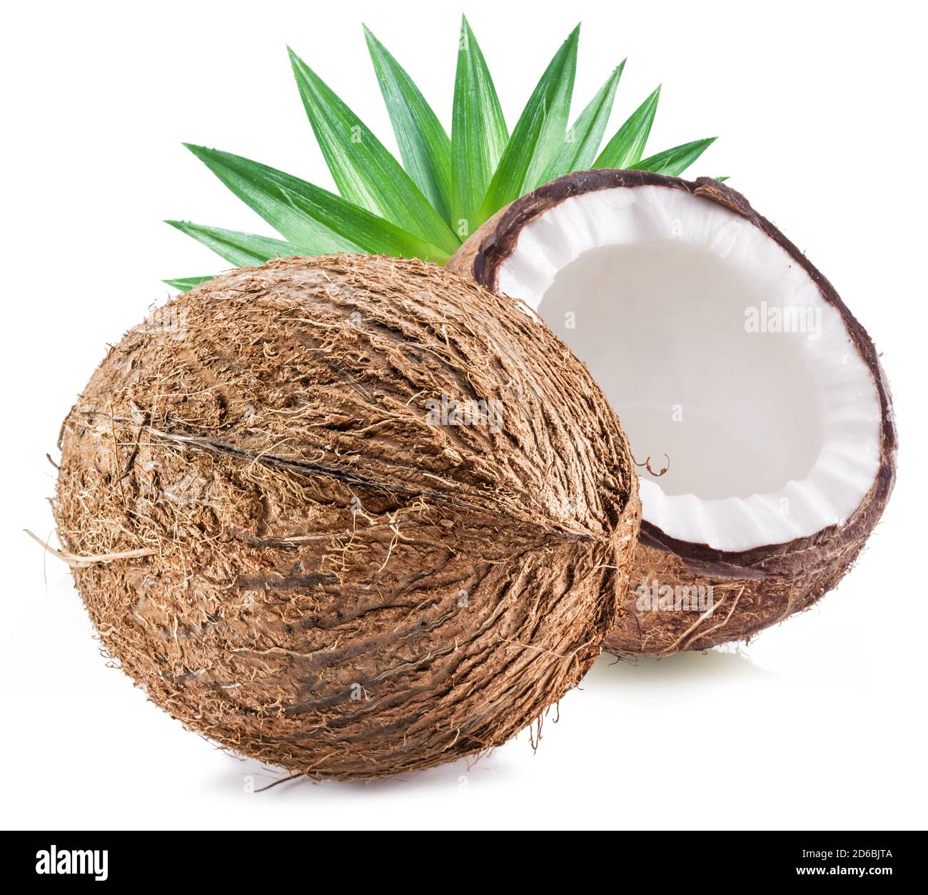 Cracked coconut fruit with white flesh and a whole coconut isolated on white background. Stock Photo