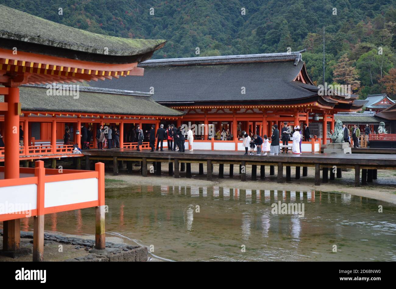 Itsukushima Shrine (jap. 厳島神社) on Miyajima Island in Hatsukaichi, Hiroshima Prefecture, Japan. - OL11104120 Stock Photo