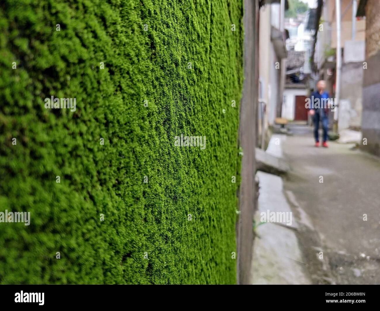 074 Jpg High Resolution Stock Photography And Images Page 5 Alamy