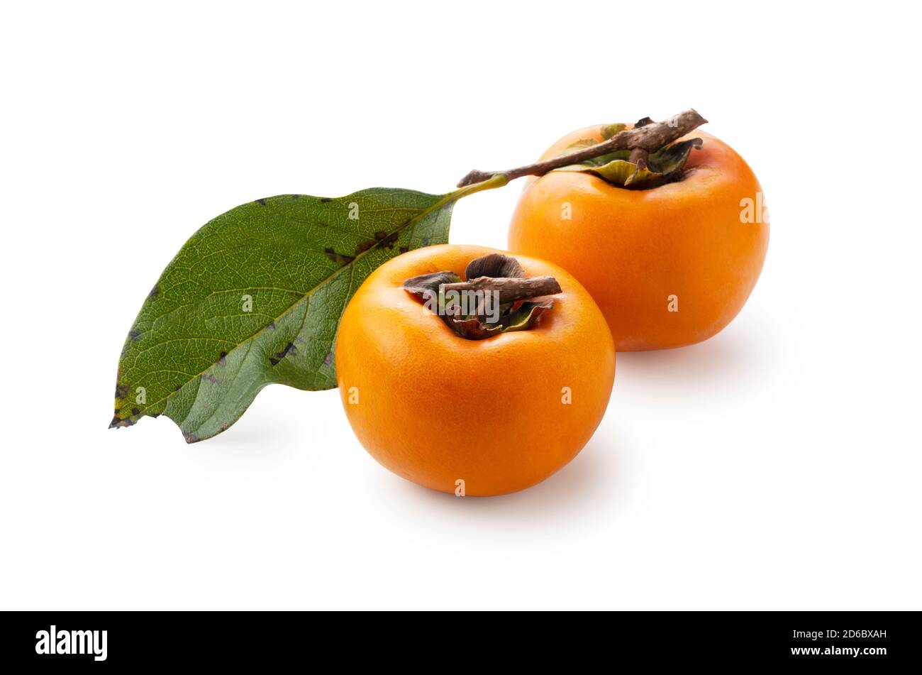 Two Japanese Persimmons on a White Background Stock Photo