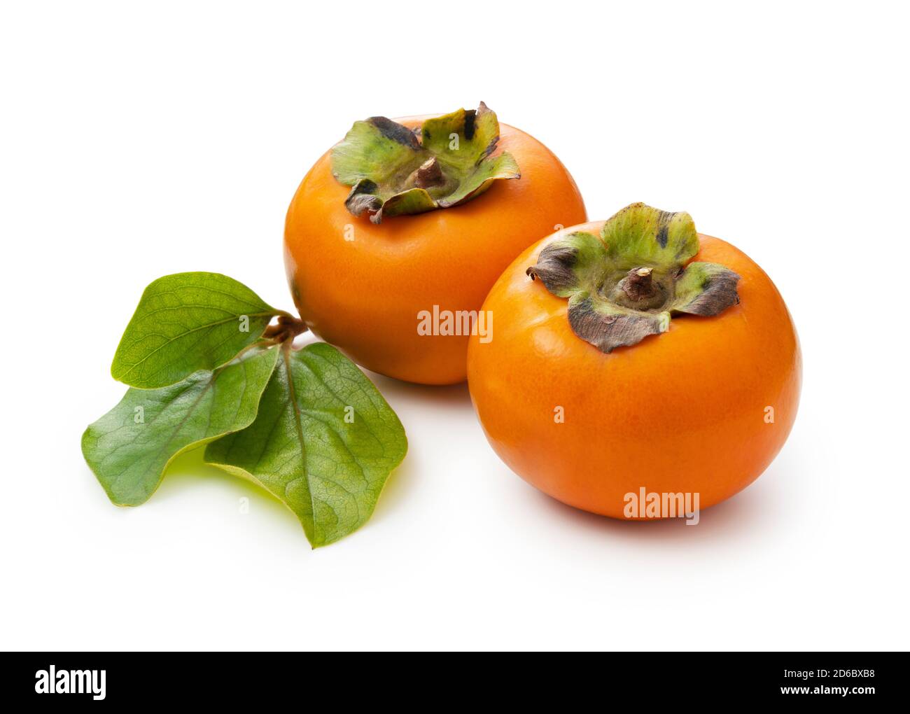 Two Japanese Persimmons on a White Background Stock Photo