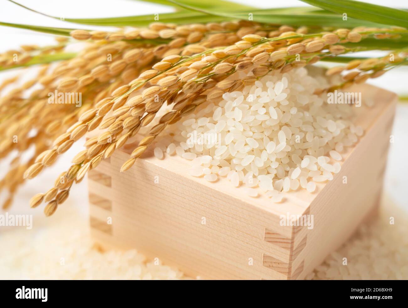 Close up of white rice, Japanese squares and ears of rice on a white ...