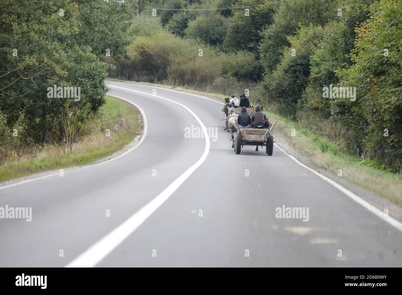 Traditional horse and cart transport driver hires stock photography