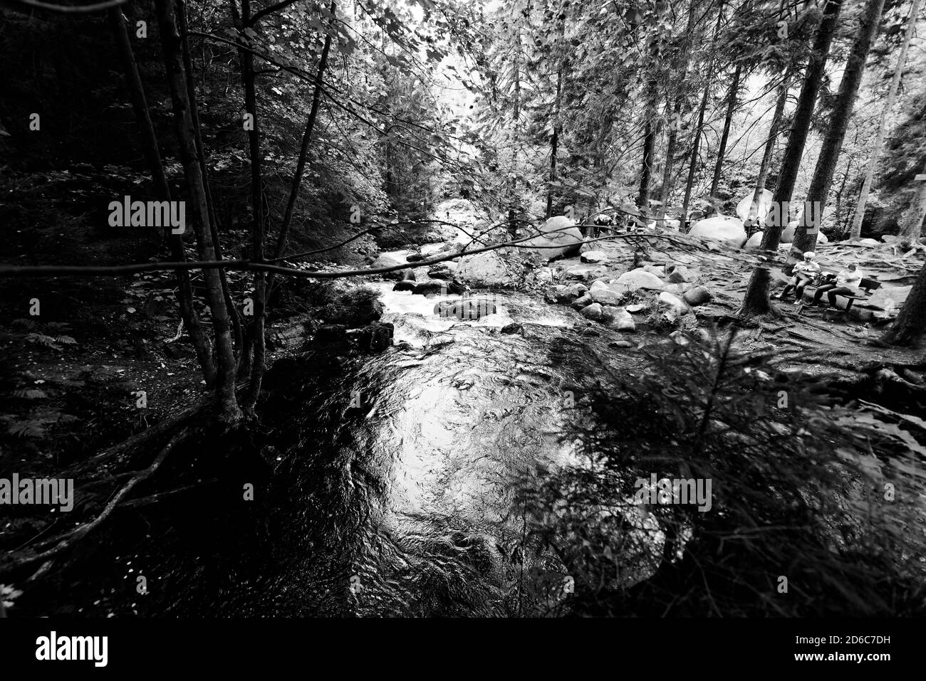 Okertal im Harz, Verlöbungsinsel, Deutschland Stock Photo Alamy