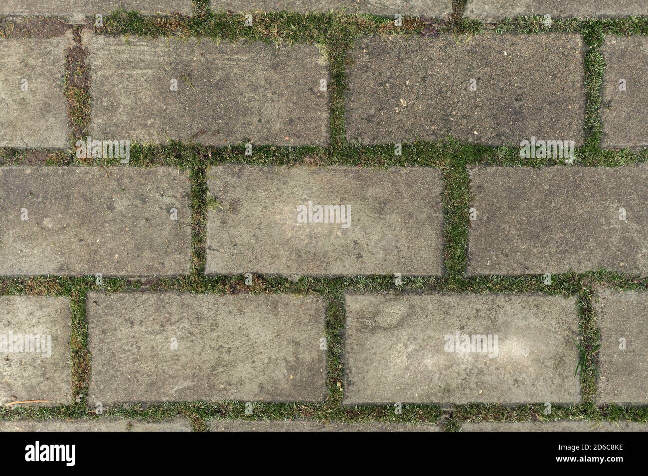 Rectangular Paving slabs with sprouted moss. Paving. Textures Are More Suitable For Tile Laying. Background. Stock Photo