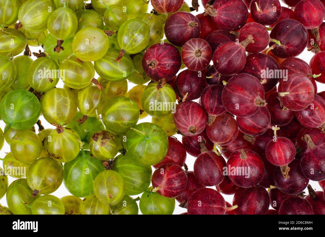 Mobile wallpaper: Gooseberry, Berry, Food, Leaves, Raspberry, 94019  download the picture for free.