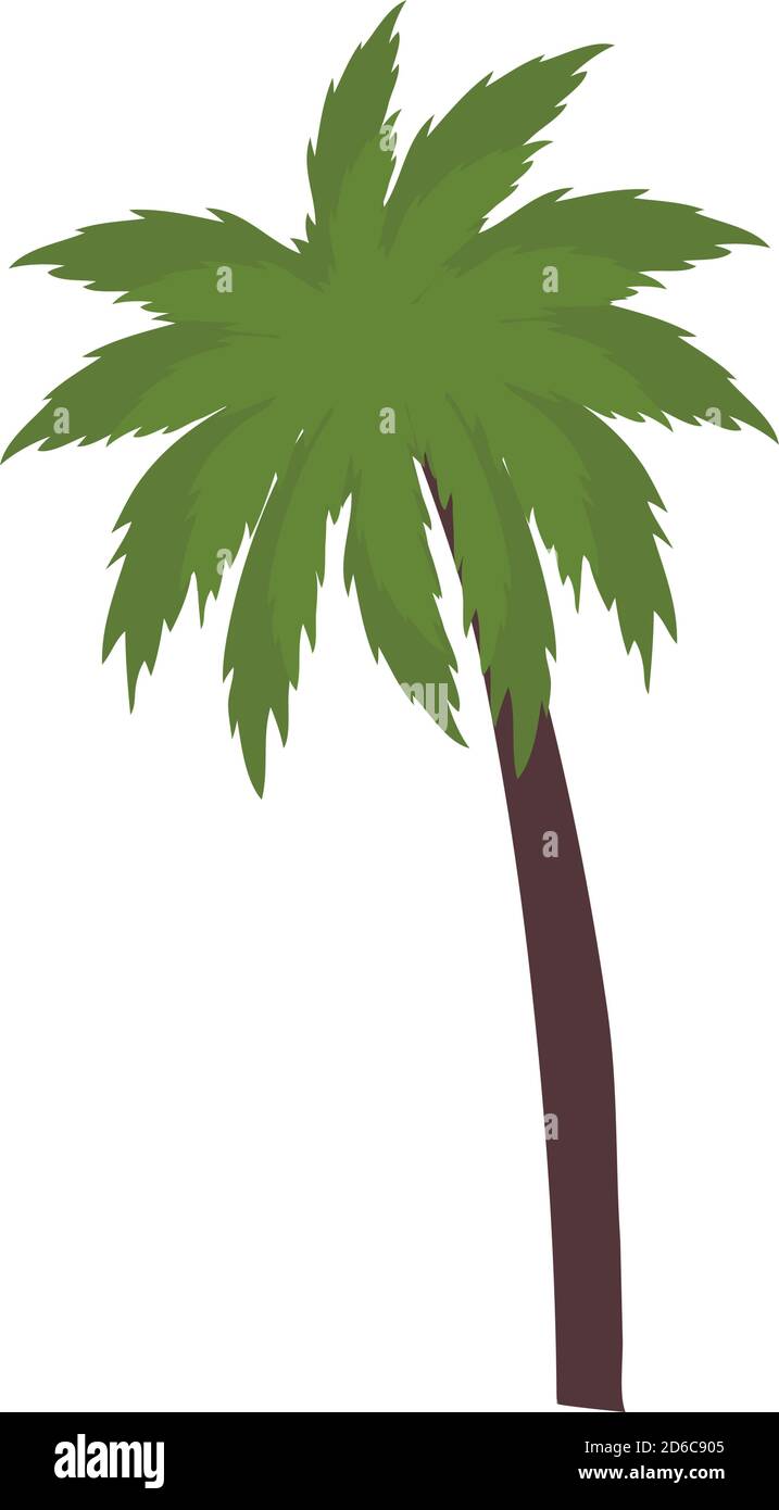 Isolated palm tree vector design Stock Vector Image & Art - Alamy