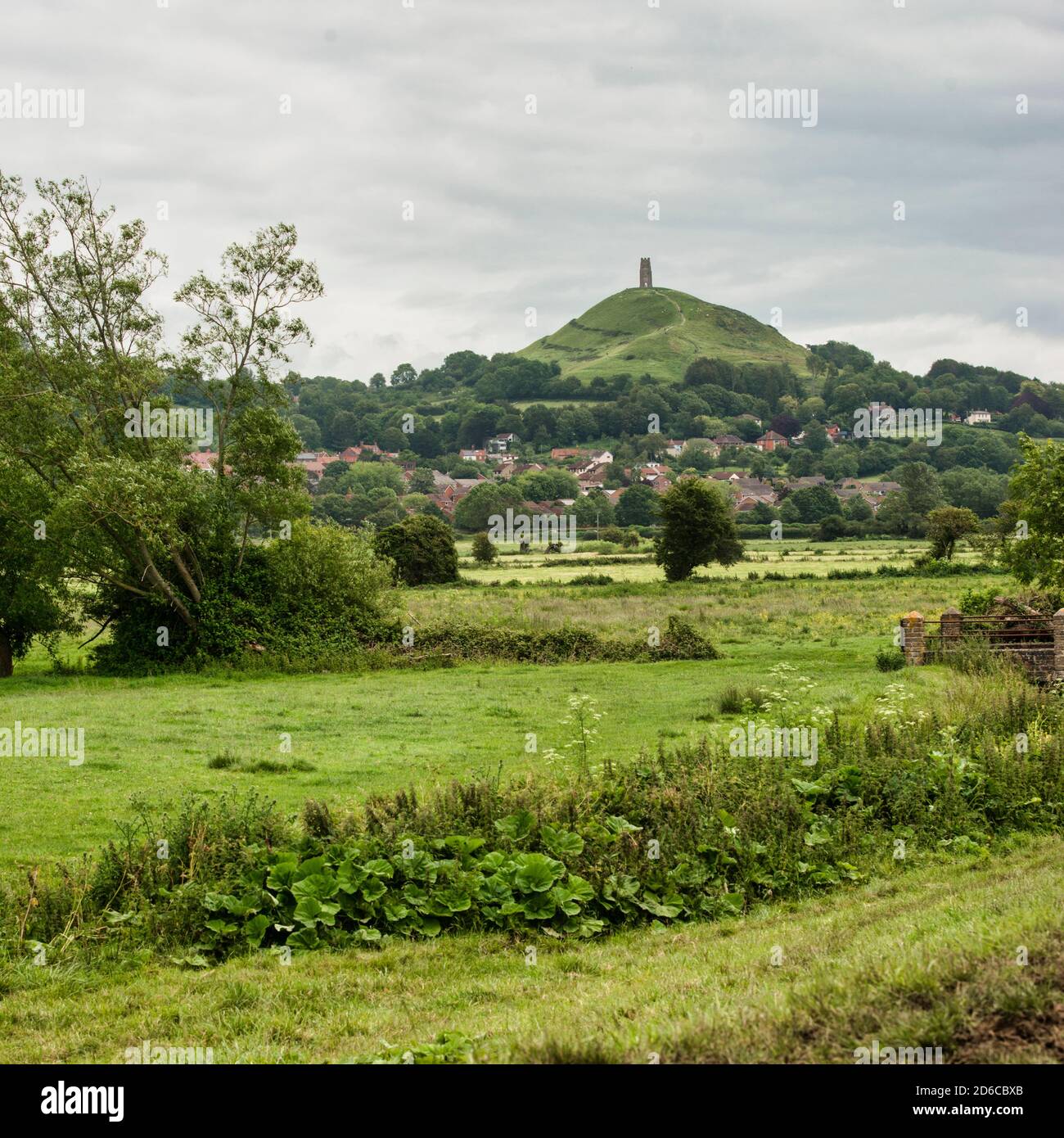 Glastonbury Tor in the distance, center frame, overlooking Glastonbury township. Farmland garden planting crosses foreground. No people. Copy space. Stock Photo