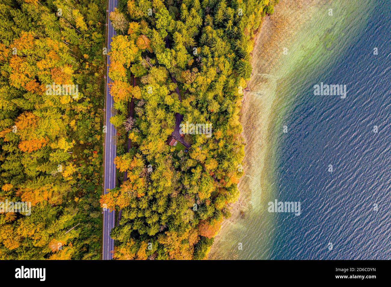 Autum Fall Top view from Drone of Lake Tegernsee and colorful Forest with trees. Lake Shore in Bavaria. Beutiful Aerial Photography Stock Photo