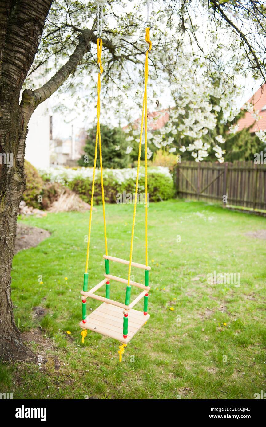Tree swing for a child hanging on a tree branch Stock Photo Alamy